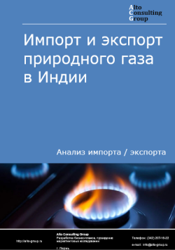 Импорт и экспорт природного газа в Индии в 2020-2024 гг.