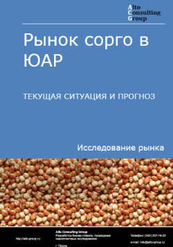 Рынок сорго в ЮАР. Текущая ситуация и прогноз 2024-2028 гг.