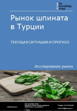 Рынок шпината в Турции. Текущая ситуация и прогноз 2024-2028 гг.