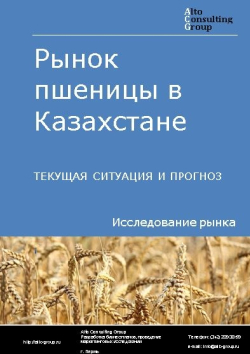 Рынок пшеницы в Казахстане. Текущая ситуация и прогноз 2020-2024 гг.