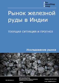 Рынок железной руды в Индии. Текущая ситуация и прогноз 2024-2028 гг.