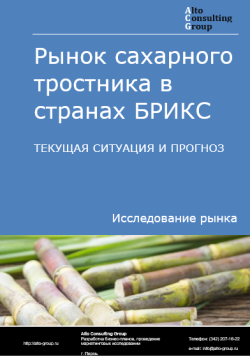 Рынок сахарного тростника в странах БРИКС. Текущая ситуация и прогноз 2024-2028 гг.