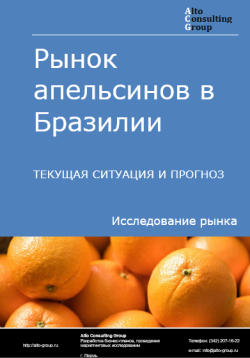 Рынок апельсинов в Бразилии. Текущая ситуация и прогноз 2024-2028 гг.