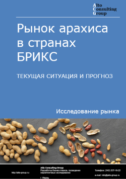 Рынок арахиса в странах БРИКС. Текущая ситуация и прогноз 2024-2028 гг.