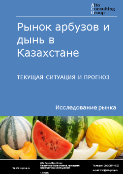 Анализ рынка арбузов и дынь в Казахстане. Текущая ситуация и прогноз 2024-2028 гг.