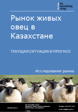 Анализ рынка живых овец в Казахстане. Текущая ситуация и прогноз 2024-2028 гг.
