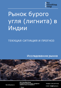 Анализ рынка бурого угля (лигнита) в Индии. Текущая ситуация и прогноз 2024-2028 гг.