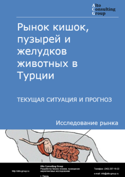 Обложка отчета: Анализ рынка кишок, пузырей и желудков животных в Турции. Текущая ситуация и прогноз 2025-2029 гг.