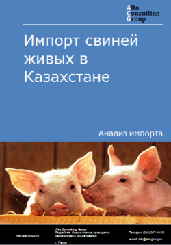 Анализ импорта свиней живых в Казахстан в 2019-2023 гг.