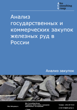 Анализ государственных и коммерческих закупок железных руд в России в 2024 г.