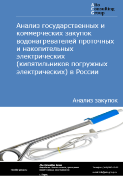 Обложка исследования: Анализ закупок водонагревателей проточных и накопительных электрических  (кипятильников погружных электрических) в России в 2024 г.