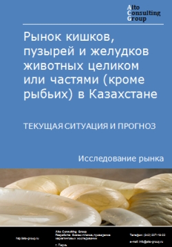 Рынок кишков, пузырей и желудков животных целиком или частями (кроме рыбьих) в Казахстане. Текущая ситуация и прогноз 2024-2028 гг.