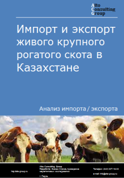 Импорт и экспорт живого крупного рогатого скота в Казахстане в 2019-2023 гг.