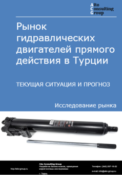 Рынок гидравлических двигателей прямого действия в Турции. Текущая ситуация и прогноз 2024-2028 гг.