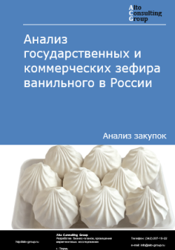 Обложка исследования: Анализ закупок зефира ванильного в России в 2024 г.