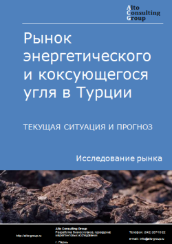 Обложка Анализ рынка энергетического и коксующегося угля в Турции. Текущая ситуация и прогноз 2024-2028 гг.