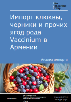 Анализ импорта клюквы, черники и прочих ягод рода Vaccinium в Армению в 2019-2023 гг.