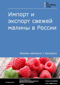 Импорт и экспорт свежей малины в России в 2020-2024 гг.