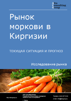Анализ рынка моркови в Киргизии. Текущая ситуация и прогноз 2024-2028 гг.