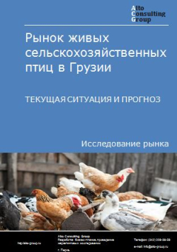 Обложка исследования: Анализ рынка живых сельскохозяйственных птиц в Грузии. Текущая ситуация и прогноз 2024-2028 гг.