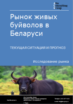 Рынок живых буйволов в Беларуси. Текущая ситуация и прогноз 2024-2028 гг.
