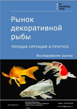 Анализ рынка декоративной рыбы в России. Текущая ситуация и прогноз 2024-2028 гг.