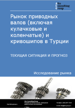 Обложка исследования: Анализ рынка приводных валов (включая кулачковые и коленчатые) и кривошипов в Турции. Текущая ситуация и прогноз 2024-2028 гг.