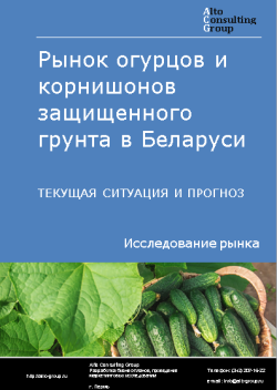 Рынок огурцов и корнишонов защищенного грунта в Беларуси. Текущая ситуация и прогноз 2024-2028 гг.