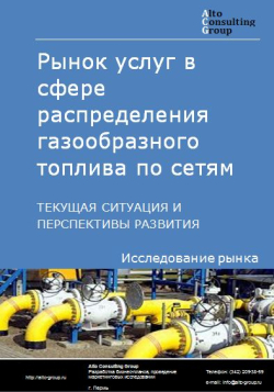 Рынок услуг в сфере распределения газообразного топлива по газораспределительным сетям в России. Текущая ситуация и перспективы развития