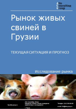 Рынок живых свиней в Грузии. Текущая ситуация и прогноз 2024-2028 гг.