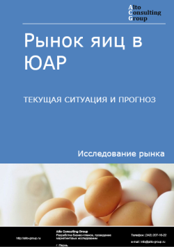 Обложка исследования: Анализ рынка яиц в ЮАР. Текущая ситуация и прогноз 2024-2028 гг.