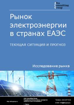 Обложка Анализ рынка электроэнергии в странах ЕАЭС. Текущая ситуация и прогноз 2024-2028 гг.