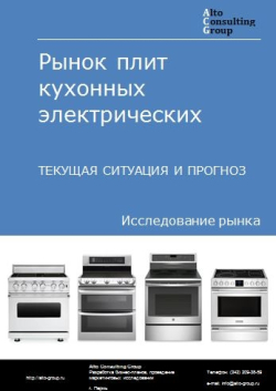 Рынок плит кухонных электрических в России. Текущая ситуация и прогноз 2020-2024 гг.