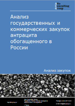 Анализ государственных и коммерческих закупок антрацита обогащенного в России в 2023 г.