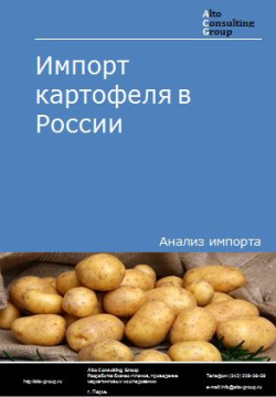 Импорт картофеля в России в 2020-2024 гг.