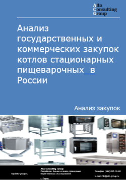 Анализ государственных и коммерческих закупок котлов стационарных пищеварочных в России в 2024 г.