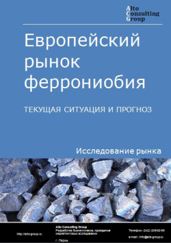 Европейский рынок феррониобия. Текущая ситуация и прогноз 2021-2025 гг.