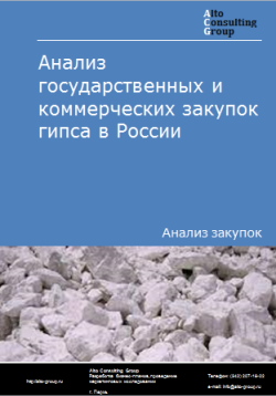 Обложка исследования: Анализ закупок гипса в России в 2023 г.