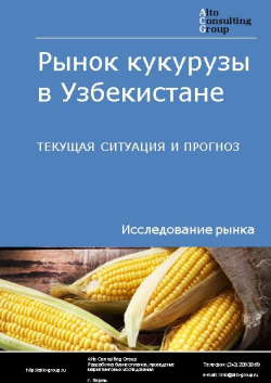 Анализ рынка кукурузы в Узбекистане. Текущая ситуация и прогноз 2024-2028 гг.