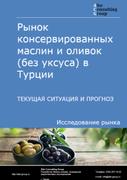 Обложка отчета: Анализ рынка консервированных маслин и оливок (без уксуса) в Турции. Текущая ситуация и прогноз 2025-2029 гг.