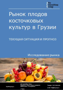 Обложка исследования: Анализ рынка плодов косточковых культур (абрикос, вишня, черешня, персик, нектарины, слива и терн) в Грузии. Текущая ситуация и прогноз 2024-2028 гг.