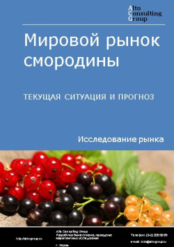 Мировой рынок смородины. Текущая ситуация и прогноз 2021-2025 гг.