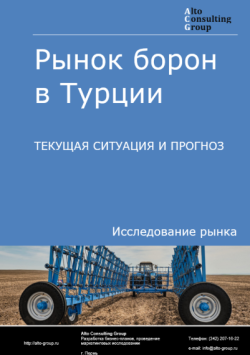 Обложка исследования: Анализ рынка борон в Турции: текущая ситуация и прогнозы на 2025-2029 годы