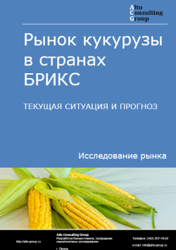 Рынок кукурузы в странах БРИКС. Текущая ситуация и прогноз 2024-2028 гг.