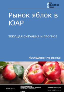 Рынок яблок в ЮАР. Текущая ситуация и прогноз 2024-2028 гг.