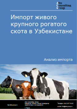 Анализ импорта живого крупного рогатого скота в Узбекистан в 2019-2023 гг.