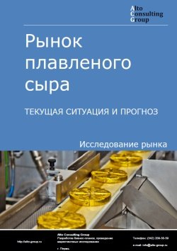 Анализ рынка плавленого сыра в России. Текущая ситуация и прогноз 2024-2028 гг.