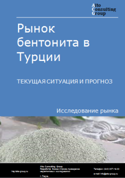 Обложка Анализ рынка бентонита в Турции. Текущая ситуация и прогноз 2024-2028 гг.