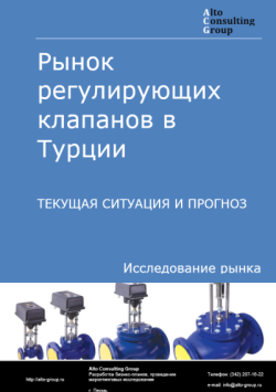 Рынок регулирующих клапанов в Турции. Текущая ситуация и прогноз 2024-2028 гг.