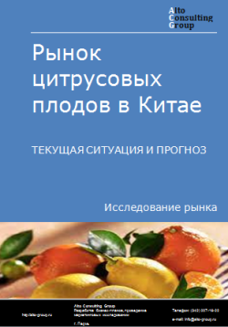 Рынок цитрусовых плодов в Китае. Текущая ситуация и прогноз 2024-2028 гг.